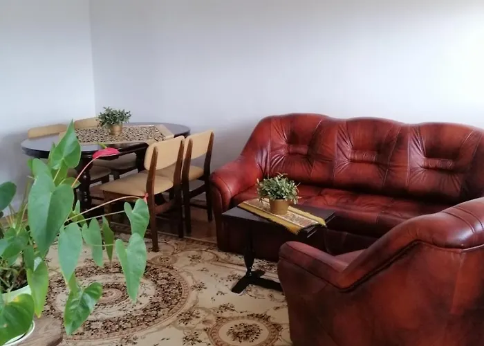 Wygodny I Funkcjonalny Apartament